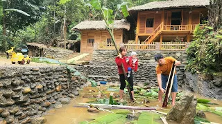 Harvest vegetable garden goes to market sell | Soak banana stems to clean fish ponds - Chúc Tòn Bình