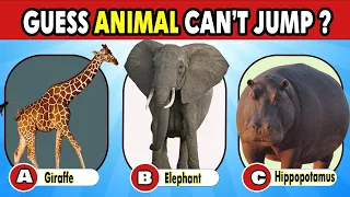 Guess The Animal 🦓 || Test Your The Animal Knowledge || Animal Quiz