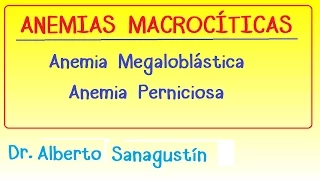 Anemias (2): Anemia Macrocítica | Megaloblástica