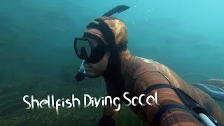 Freediving for Scallops and Lobster in SoCal