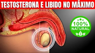 14 Alimentos para Impulsionar a Testosterona e Turbinar a Libido | CORPO HIPERTROFIADO