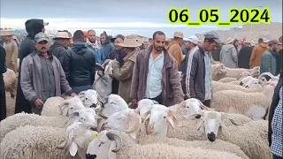 اليوم من سوق الاثنين قلعة السراغنة بتاريخ 06/05/2024 اتمنة الأغنام  #سوق_الحولي  #عيد_الاضحى 🐑🐏