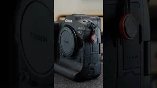 Canon R3 or a canon R6mk2  ?