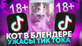 КОТ В БЛЕНДЕРЕ | ПОСЛЕДСТВИЯ | УЖАСЫ ТИКТОКА