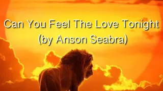 Can You Feel The Love Tonight - By Anson Seabra (lyrics video)