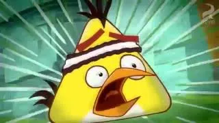 Angry Birds Toons episode 1 sneak peek Chuck Time SPECIAL