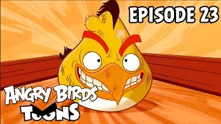 Angry Birds Toons | Gatecrasher - S1 Ep23