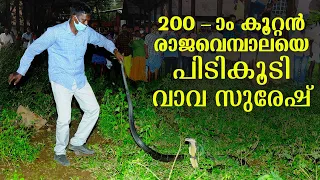 200-ആം കൂറ്റൻ രാജവെമ്പാലയെ പിടികൂടി വാവ സുരേഷ് | Vava Suresh captures the 200th giant King cobra