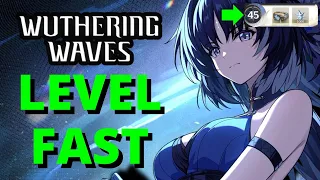 Wuthering Waves Level Fast Guide Tips Tricks Mistakes Union & Data Bank