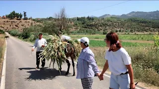 Kosinë fshati me njerëz të qeshur dhe me humor. “Shqipëri të mori lumi që ditën kur vdiq merhumi”😂