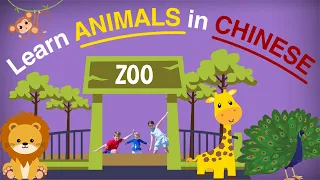 🐼 Learn Animals in Chinese 🐶 | 动物 | Animals | Chinese For Kids 🇨🇳