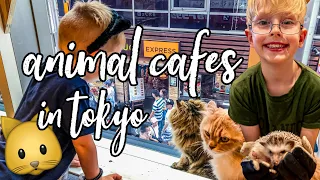 Animal Cafes in TOKYO!