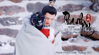 「Vietsub | Pinyin」 Thanh Huy 清晖 - Lưu Vũ Ninh 摩登兄弟刘宇宁｜OST: Khanh Khanh Nhật Thường 卿卿日常