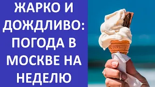 Москвичей ожидают жара, дожди и грозы: погода в Москве на неделю 13-19 июня 2022 года