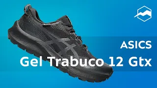 Кроссовки ASICS Gel-Trabuco 12 Gtx. Обзор