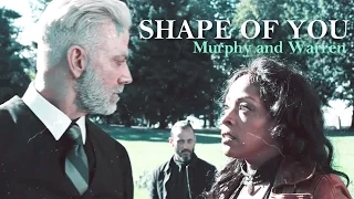 Murphy & Warren • ⌈Shape Of You⌋