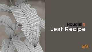 Creating a Procedural Leaf Recipe in Houdini - Intermediate Tutorial