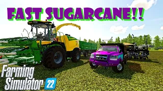 Fastest way to do SUGARCANE!!!!  all platforms (consoles)