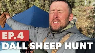 A long and loaded down packout and bad weather- Dall Sheep Hunt pt. 4 - TMP S5:E4