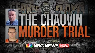 Watch: Day 14 of Derek Chauvin's Trial | NBC News