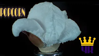 🍿Popping Popcorn at 30,000 FPS in ULTRA SLOW MOTION & ULTRA  HD || STUNNING YT🍿🍾