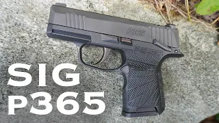 Sig P365 : First Impressions & Thoughts