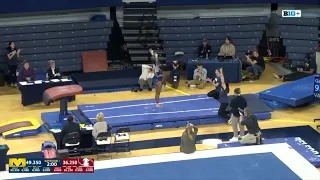 Sierra Brooks - Vault - Stanford @ Michigan 9.975