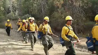 Samoan Firefighters