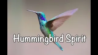 Children’s Sleep Meditation Story | Hummingbird Spirit