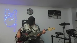 Open your eyes (Guano Apes) - Bass Cover