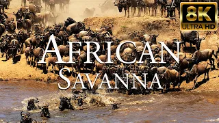 African Savanna 8K ULTRA HD | Wildlife of African Safari | Great Wildebeest Migration