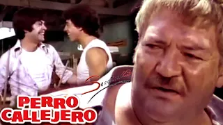 Escena "Perro Callejero 2" - Narciso Busquets, Valentín Trujillo & Sergio Goyri