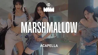 MISAMO 「Marshmallow」 Acapella