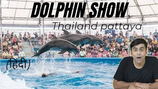 Dolphinarium Pattaya | Dolphin Show Thailand | Thailand Pattaya Hindi  Travel Vlog | Ghumega Kya