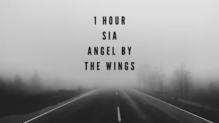 Sia - Angel By The Wings (1 Hour)