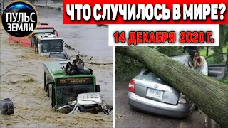 Катаклизмы за день 14 ДЕКАБРЯ 2020 ! Пульс Земли ! в мире событие дня #hailstorms #гололед #Курск