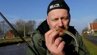 Matze Koch: Hecht mit Waggle Shad und Yoko Holo - Zwei Balzer Gummifische