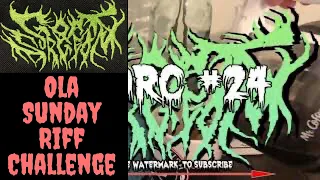 SWORC - Riff 24 (Riff Challenge)
