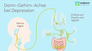 Darm und Depression – Was sind Darmflora und Mikrobiom? (Expertin erklärt)