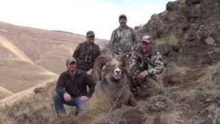 Washington Rocky Mtn Bighorn