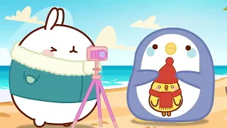 Molang | The Penguin | Funny Cartoons For Kids | HooplaKidz Toons