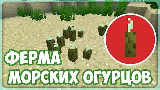 ЛУЧШАЯ ФЕРМА МОРСКИХ ОГУРЦОВ | HOLYWORLD