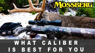 Choosing The Right Caliber Rifle