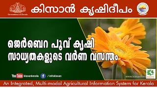 Success story of Gerbera flower (daisy) cultivation  through an Agri business model