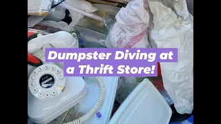 Dumpster Diving at My Local Thrift Store (#Shorts)