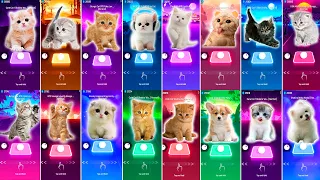 CUTE CATS JISOO FLOWER VS JUSTIN BIEBER VS CUTE DOG LADY GAGA BLOODY MARY VS SHAKIRA WAKA WAKA