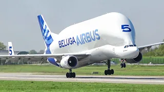 (4K) 20 Minutes of Airbus Beluga Landings and Take-offs - A Weird & Impressive Plane!