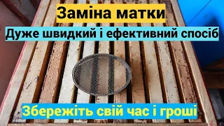 Заміна матки дуже легко! Як дуже швидко і ефективно підсадити матку, без великого затрату часу.