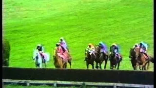 1987 Whitbread Gold Cup Handicap Chase