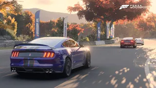 Forza Motorsport 2024 /update 5.0 / Maple Valley sunset / Ford Mustang Shelby GT500 /gameplay